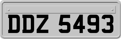 DDZ5493