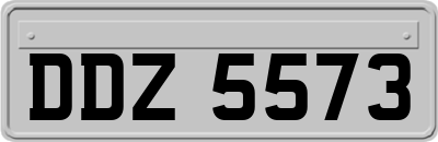 DDZ5573