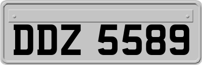 DDZ5589