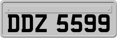 DDZ5599