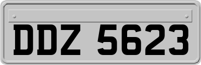 DDZ5623