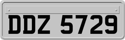 DDZ5729