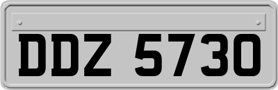 DDZ5730