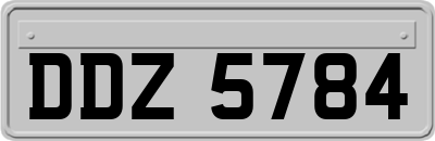 DDZ5784