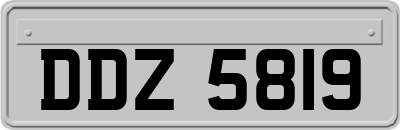 DDZ5819