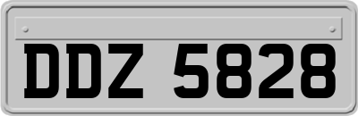 DDZ5828