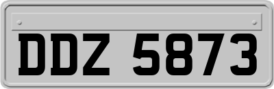 DDZ5873