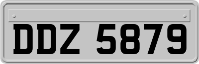 DDZ5879