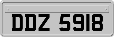 DDZ5918