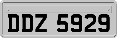 DDZ5929