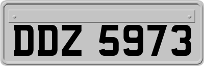 DDZ5973