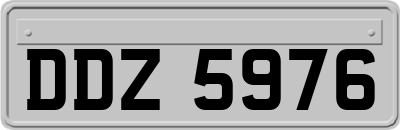 DDZ5976