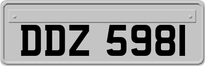 DDZ5981