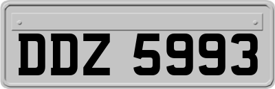 DDZ5993
