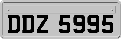 DDZ5995