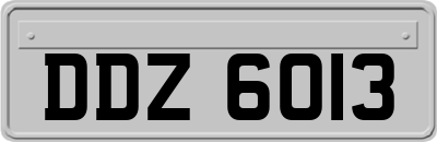 DDZ6013