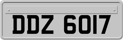 DDZ6017