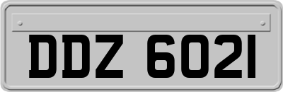 DDZ6021