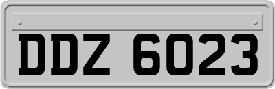 DDZ6023