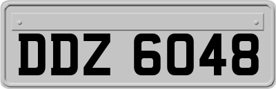 DDZ6048
