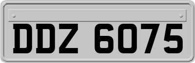 DDZ6075