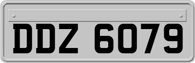 DDZ6079