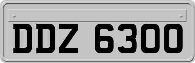 DDZ6300