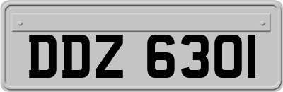 DDZ6301