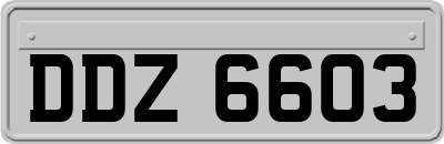 DDZ6603
