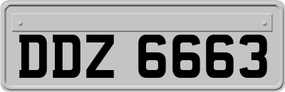 DDZ6663