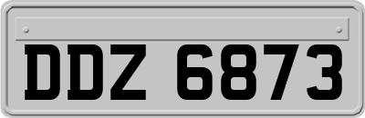 DDZ6873