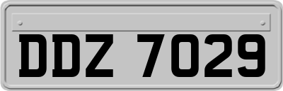 DDZ7029