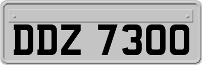 DDZ7300