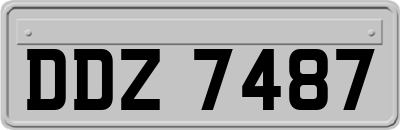 DDZ7487
