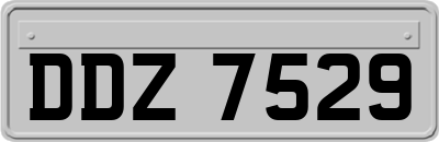 DDZ7529