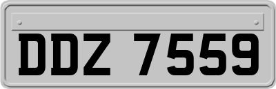 DDZ7559