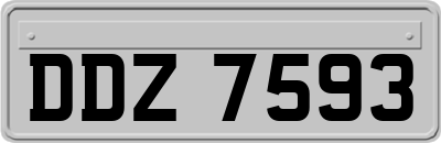 DDZ7593