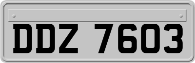 DDZ7603