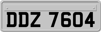 DDZ7604