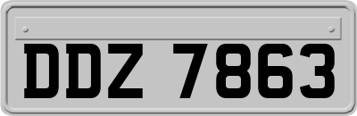 DDZ7863