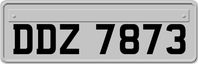 DDZ7873