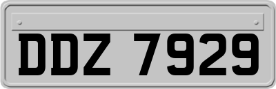 DDZ7929