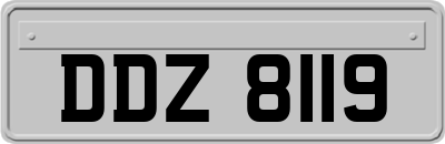 DDZ8119