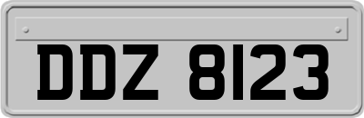 DDZ8123