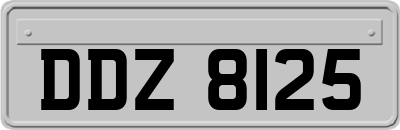 DDZ8125