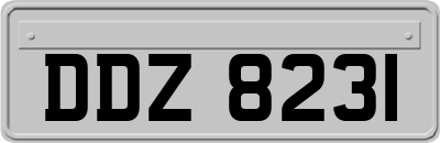 DDZ8231