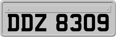 DDZ8309