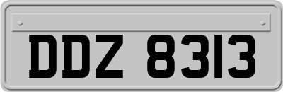 DDZ8313