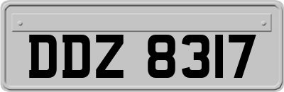 DDZ8317