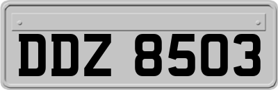 DDZ8503